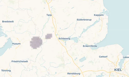 Regenradar Vorschaubild - Aktuelle Niederschläge in Schleswig und Umgebung